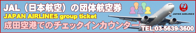 JAL国内線が運航する成田空港情報