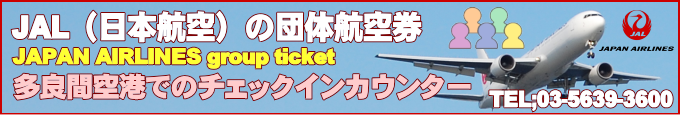 JAL国内線が運航する多良間空港情報