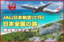 JAL�_�C�i�~�b�N�p�b�P�[�W�ɂ���